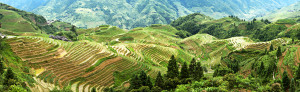 View on the Longsheng Rice Teracces. Photograph © dishio, June 2007. Website: http://dishio.eu/