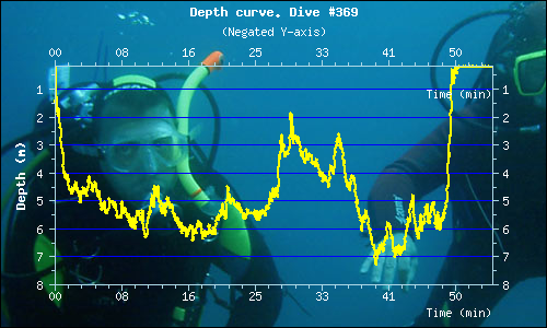 Diving Profie Diving Profie