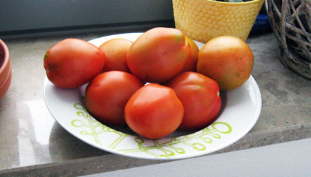 Our own homegrown tomatoes Our own homegrown tomatoes